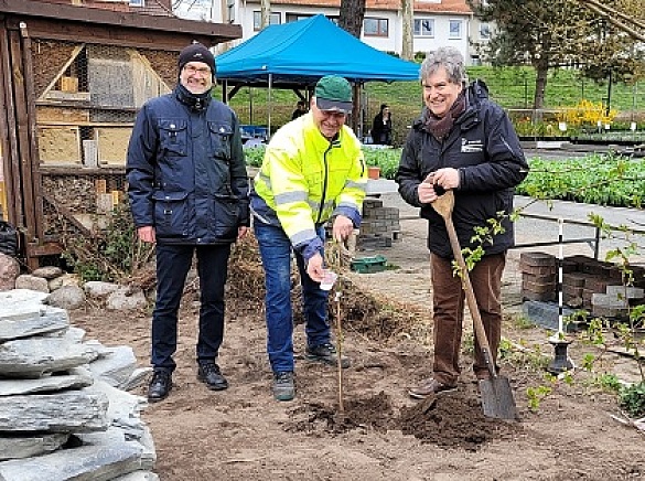 In der Martinshof-Gärtnerei in Bremen-Hastedt: Hans Horn, Geschäftsführer von Werkstatt Bremen, Wolfgang Rohde, zuständige Fachkraft für das Qualifizierungsmodul Garten- und Landschaftsbau der Werkstatt Bremen und Karl-Josef Krötz, Ratskellermeister (v.l.n.r.).